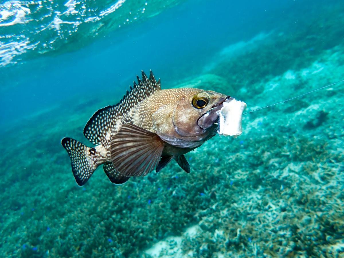 Blue Ocean Resort Ishigaki  Exterior foto